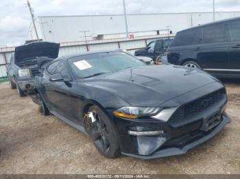  Salvage Ford Mustang