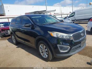  Salvage Kia Sorento