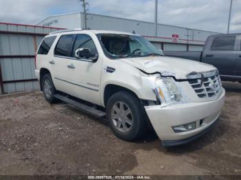  Salvage Cadillac Escalade