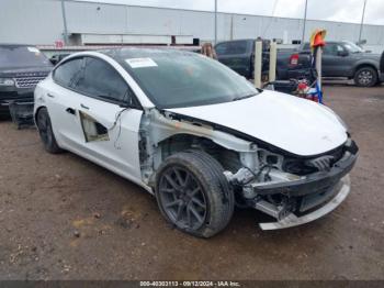  Salvage Tesla Model 3