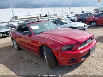  Salvage Ford Mustang