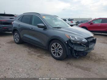  Salvage Ford Escape