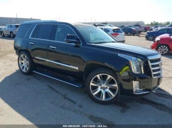  Salvage Cadillac Escalade