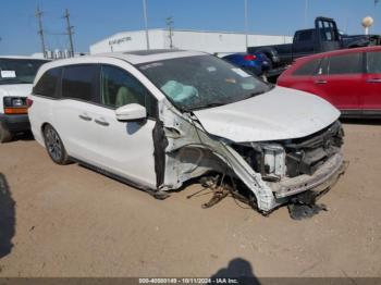  Salvage Honda Odyssey