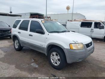  Salvage Ford Escape