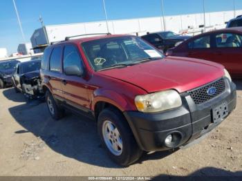  Salvage Ford Escape