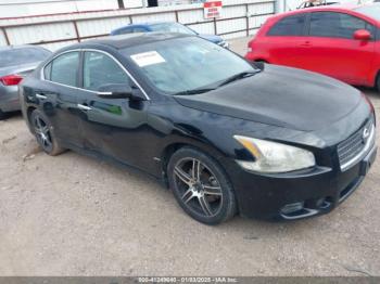  Salvage Nissan Maxima