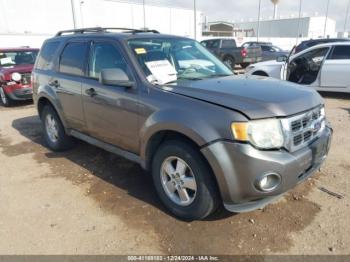  Salvage Ford Escape