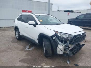  Salvage Toyota RAV4