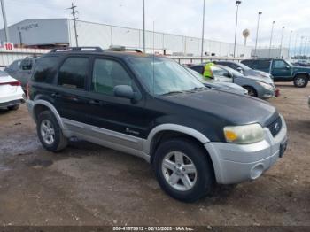  Salvage Ford Escape