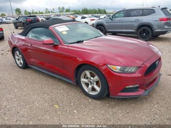  Salvage Ford Mustang