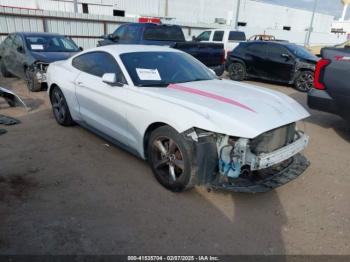  Salvage Ford Mustang