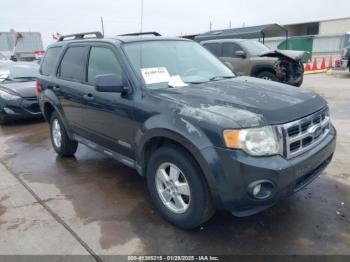  Salvage Ford Escape