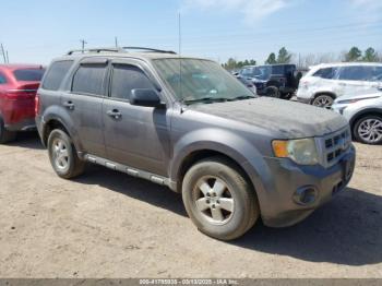  Salvage Ford Escape