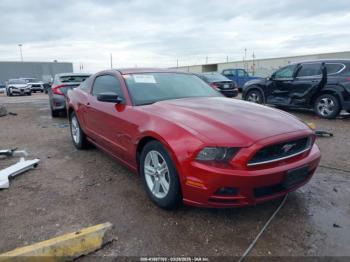  Salvage Ford Mustang