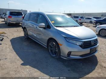  Salvage Honda Odyssey