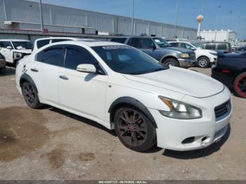  Salvage Nissan Maxima