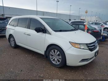  Salvage Honda Odyssey