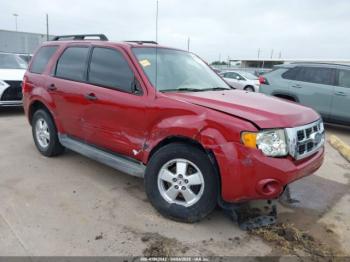  Salvage Ford Escape