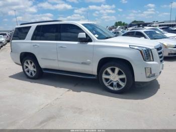 Salvage Cadillac Escalade