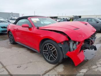  Salvage Ford Mustang