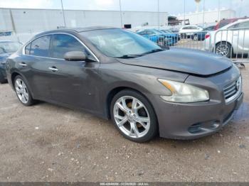  Salvage Nissan Maxima