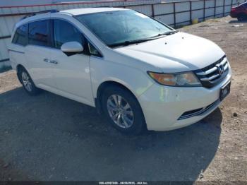  Salvage Honda Odyssey