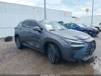  Salvage Lexus NX