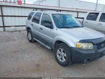  Salvage Ford Escape