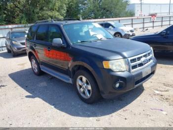  Salvage Ford Escape