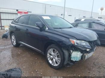  Salvage Lexus RX