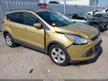  Salvage Ford Escape
