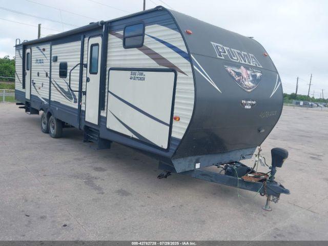  Salvage Palomino Other