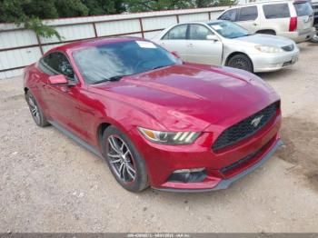  Salvage Ford Mustang