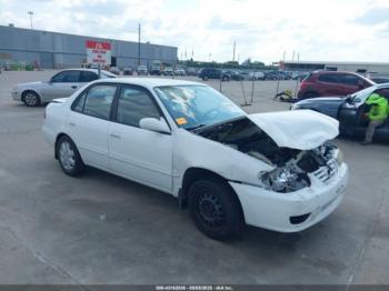  Salvage Toyota Corolla