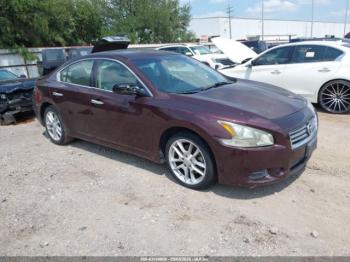  Salvage Nissan Maxima
