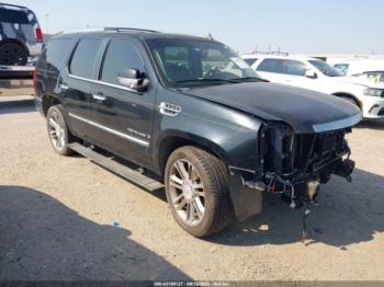  Salvage Cadillac Escalade