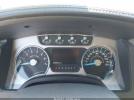 Ford F-150 Platinum Image 9