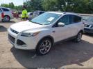 Ford Escape Titanium Image 7