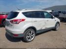 Ford Escape Titanium Image 4