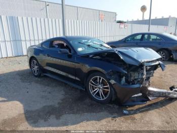  Salvage Ford Mustang