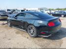 Ford Mustang Ecoboost Image 10