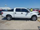 Ford F-150 Image 16