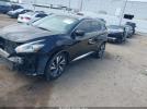 Nissan Murano Platinum Image 2