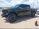 Ford F-150 Raptor Image 17
