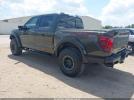 Ford F-150 Raptor Image 4