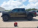 Ford F-150 Raptor Image 9
