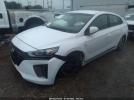 Hyundai Ioniq Sel Image 6
