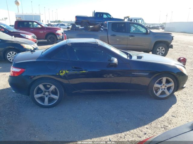 Mercedes-Benz Slk-class Image 5