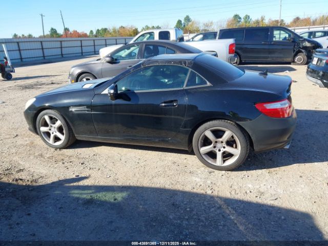 Mercedes-Benz Slk-class Image 2